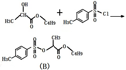合成中间体(B)的路线图